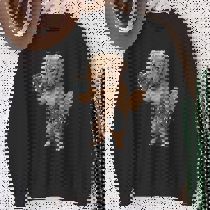 ダックスフンド 犬の筋肉トレーニング ダンベル付き フィットネスジム スウェットシャツ 年配の女性への贈り物