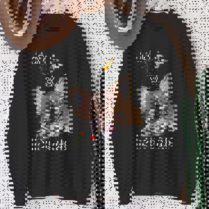 チワワ ロングヘア チワワ ロングヘア 子犬 犬好き スウェットシャツ 年配の女性への贈り物