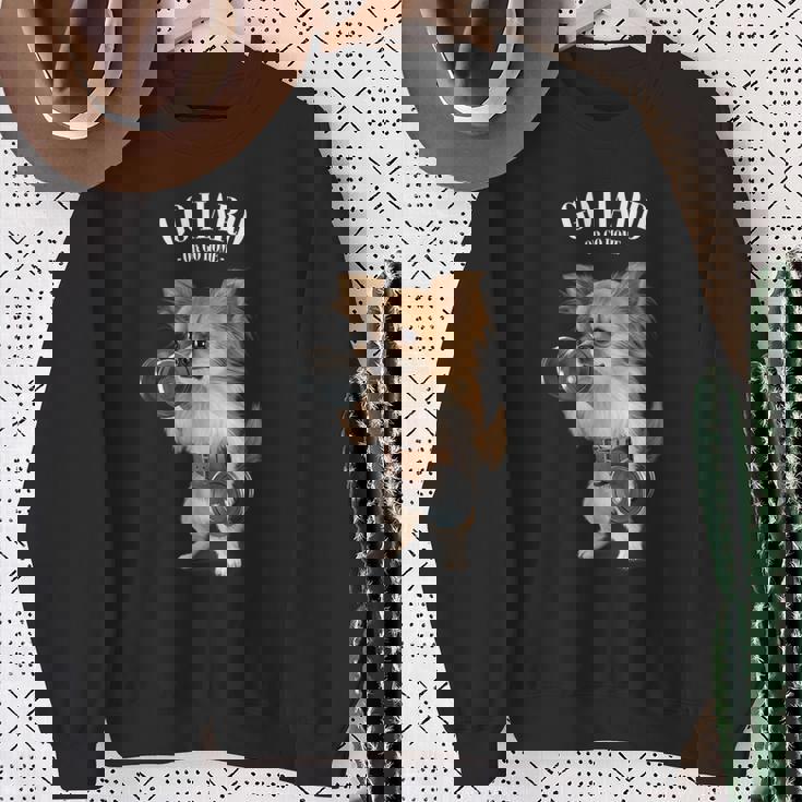 チワワ 犬の筋肉トレーニング ダンベル付き フィットネスジム スウェットシャツ 年配の女性への贈り物