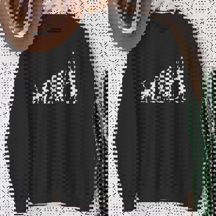 テニスの面白い進化 スウェットシャツ 年配の女性への贈り物