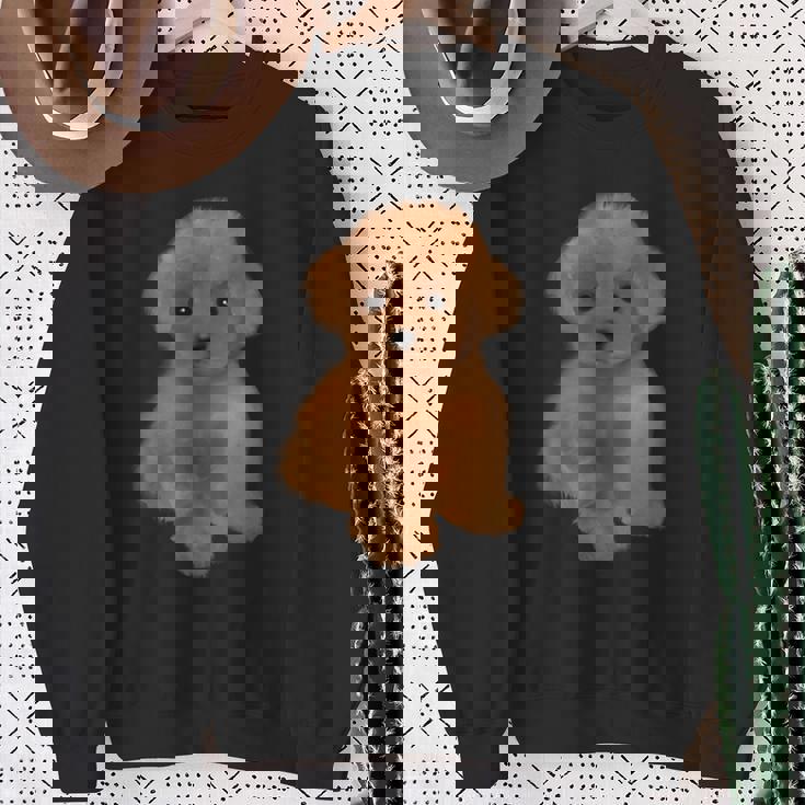 トイプードル 犬種 ミニプードル 子犬 スウェットシャツ 年配の女性への贈り物