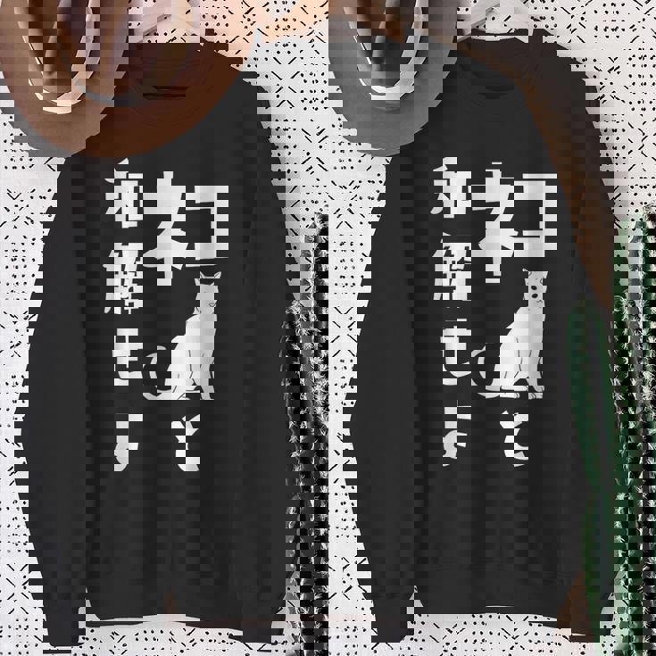 ネコと和解せよ 猫 おもしろ スウェットシャツ 年配の女性への贈り物