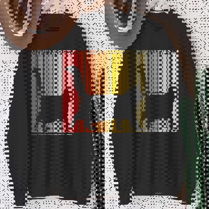 ノルウェージャンフォレストキャット 猫の所有者の贈り物 スウェットシャツ 年配の女性への贈り物