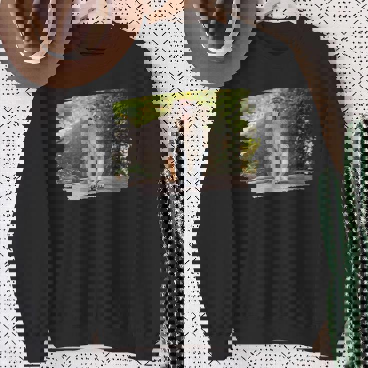 パタス・モンキー スウェットシャツ 年配の女性への贈り物