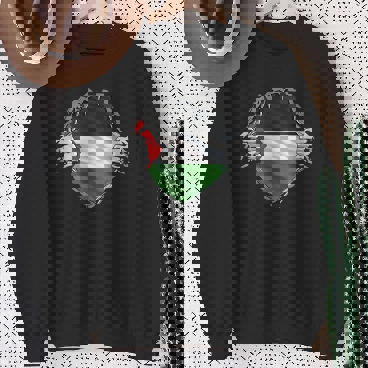 パレスチナシャツ パレスチナ国旗 アラビアのルーツ 遺産 Dna スウェットシャツ 年配の女性への贈り物