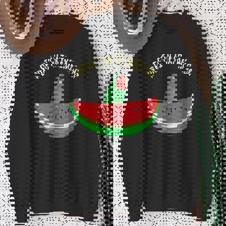 パーフェクトスイカラブバード、バーブミーム、グリーンオウムフルーツ スウェットシャツ 年配の女性への贈り物