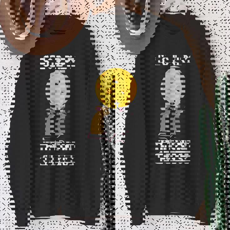 ピックルボール用パドル ラケット、ピックルボール用ボール、ピックルボール スウェットシャツ 年配の女性への贈り物