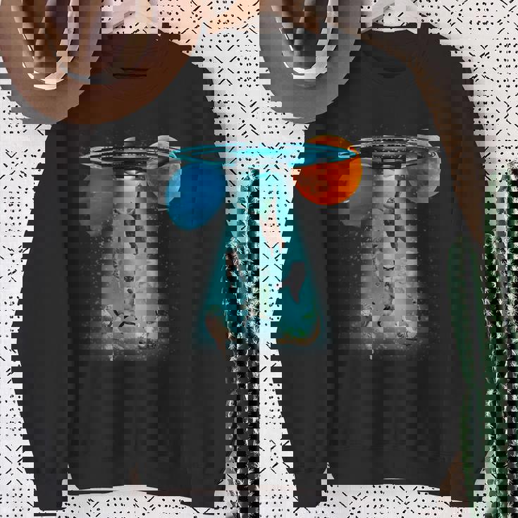 ファニースペースキャット Ufo 宇宙人 空飛ぶ猫 ギャラクシープラネット グラフィック スウェットシャツ 年配の女性への贈り物