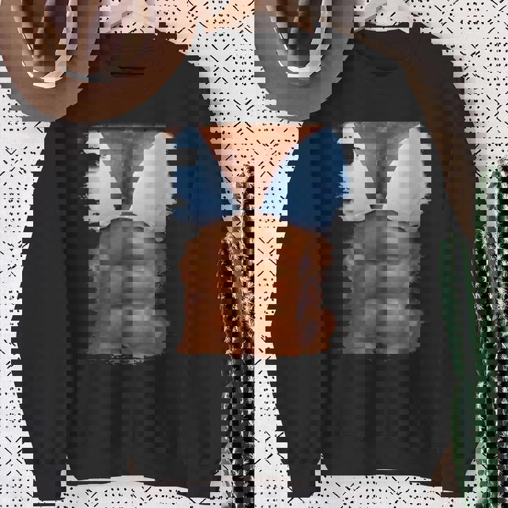 フェイク アブス ファニービキニ ボディマッスル 6パック 3D スウェットシャツ 年配の女性への贈り物