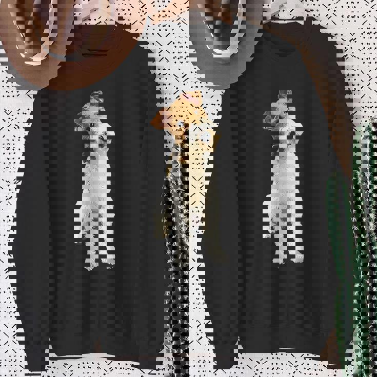 フォックステリアワイヤー スウェットシャツ 年配の女性への贈り物