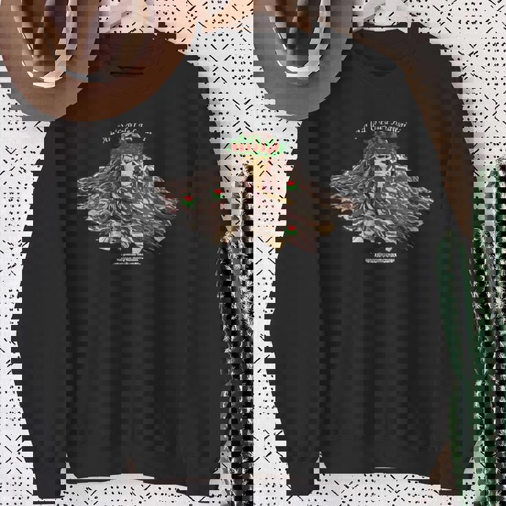 フラダンス ハワイ 火の神 ペレ フラダンサー 長袖tシャツ スウェットシャツ 年配の女性への贈り物