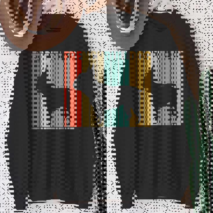 フレンチブルドッグ レトロ フレンチリー 犬 犬の飼い主 フレンチドッグ スウェットシャツ 年配の女性への贈り物