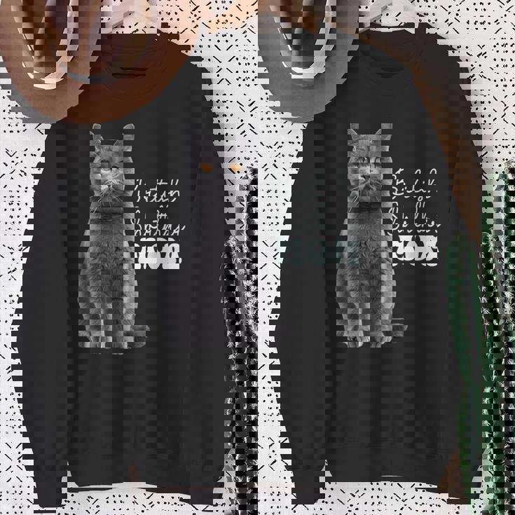 ブリティッシュショートヘア イギリス スウェットシャツ 年配の女性への贈り物