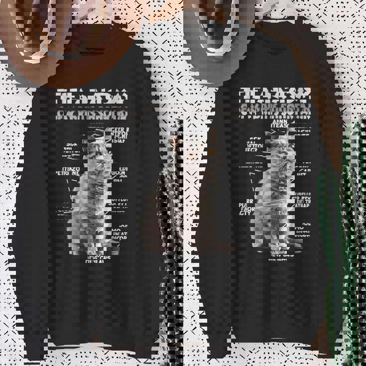 ブリティッシュショートヘアーt スウェットシャツ 年配の女性への贈り物