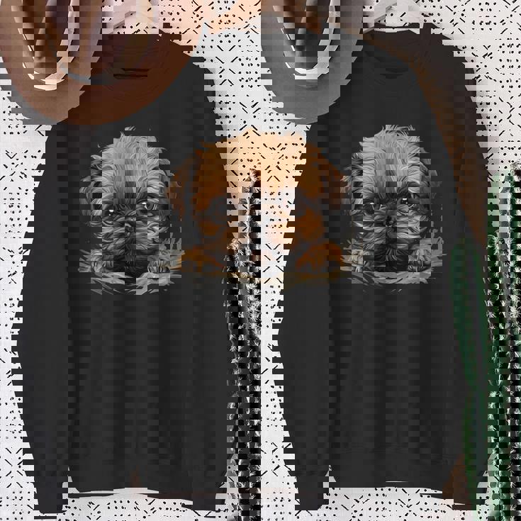 ブリュッセル・グリフォン スウェットシャツ 年配の女性への贈り物