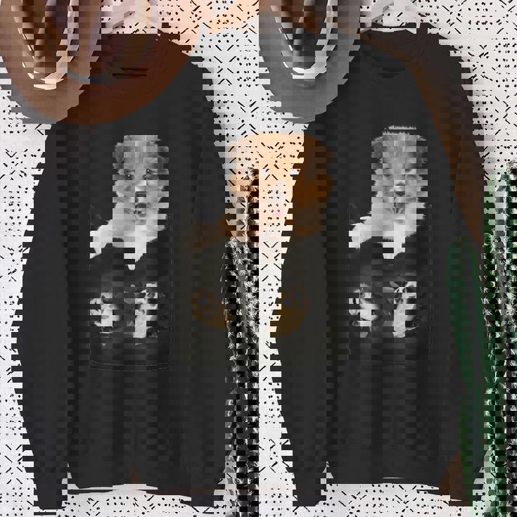 プリントポケットに入ったコリー犬 犬好きに面白い スウェットシャツ 年配の女性への贈り物