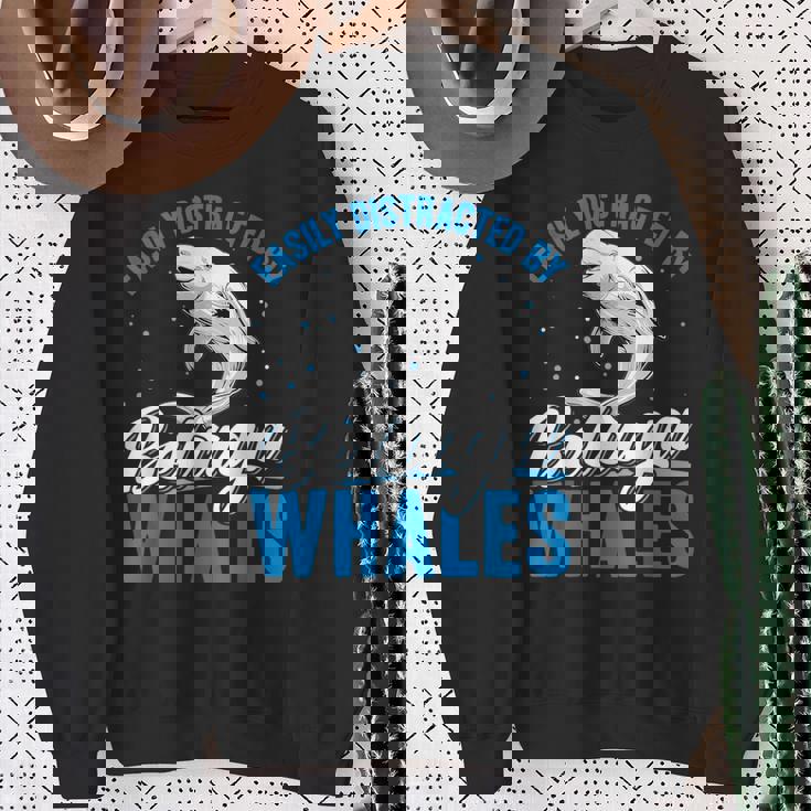 ベルーガクジラに簡単に気を取られる面白いシロイルカ動物。 スウェットシャツ 年配の女性への贈り物