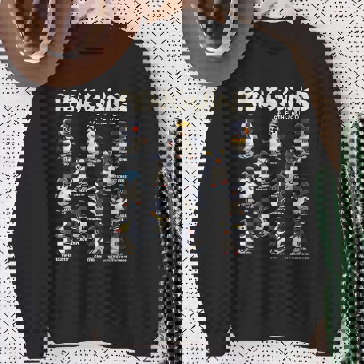 ペンギン ペンギン 世界の動物たち ペンギン愛好家 スウェットシャツ 年配の女性への贈り物