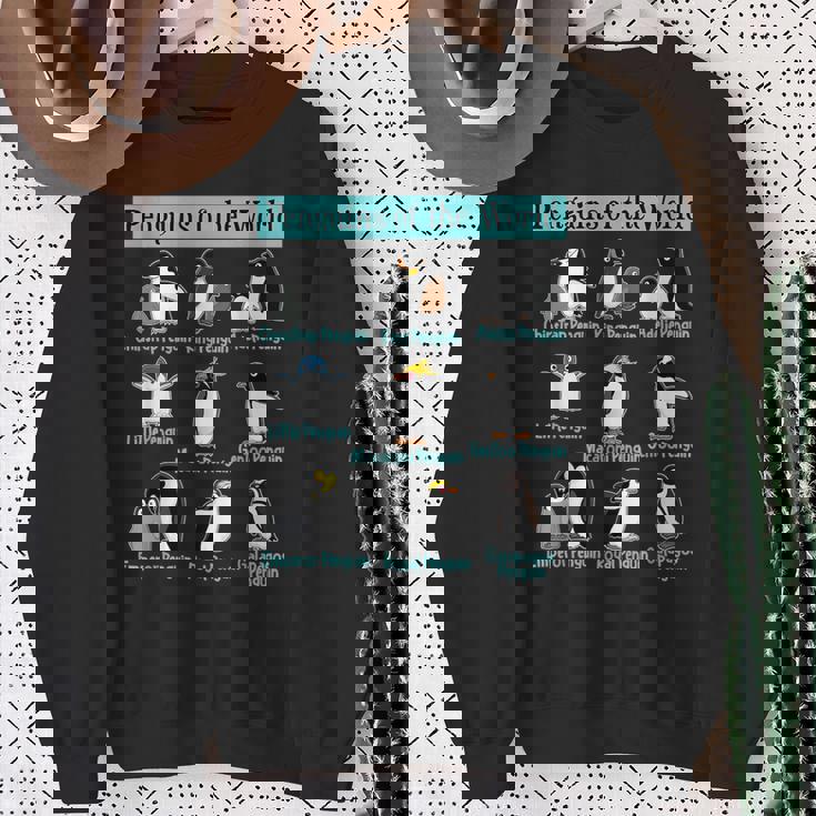 ペンギンの種類 ペンギン好き 野生動物 北極 シーバードファン スウェットシャツ 年配の女性への贈り物