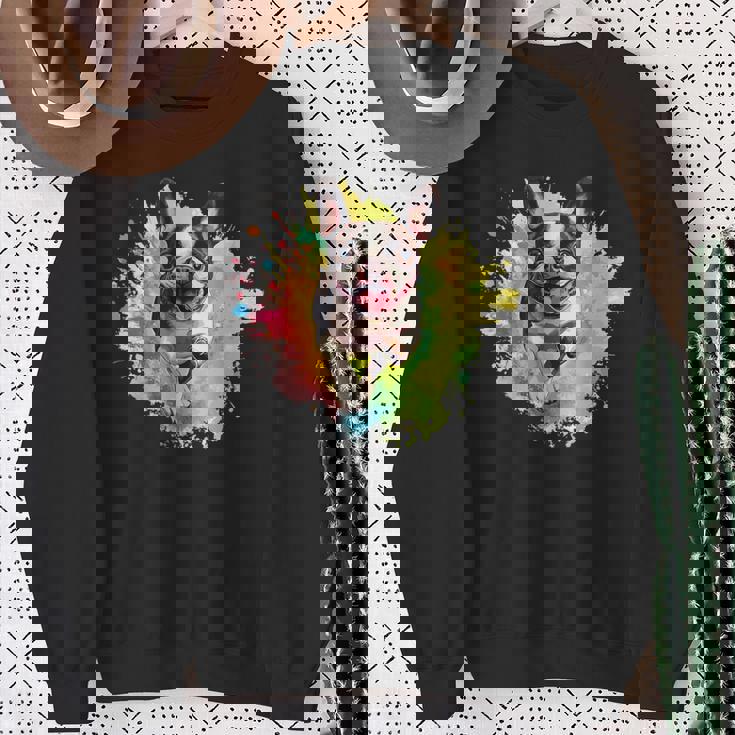 ボストンテリア 恋人 カラフル スプラッシュアート ボストンテリア スウェットシャツ 年配の女性への贈り物