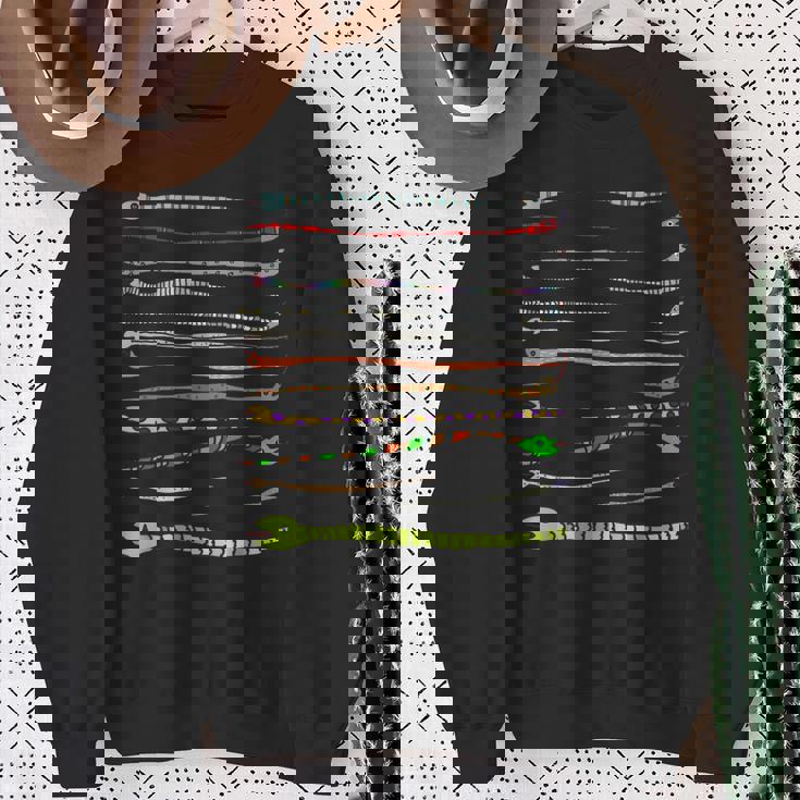 ボーダー カラフル Pop 爬虫類 かわいい オリジナル ヘビ柄 手描き フロント ボーダー イラスト おもしろ スウェットシャツ 年配の女性への贈り物