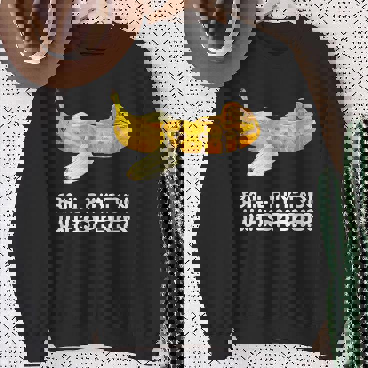 ボールパイソン ささやき蛇 爬虫類 爬虫類 バナナ スウェットシャツ 年配の女性への贈り物