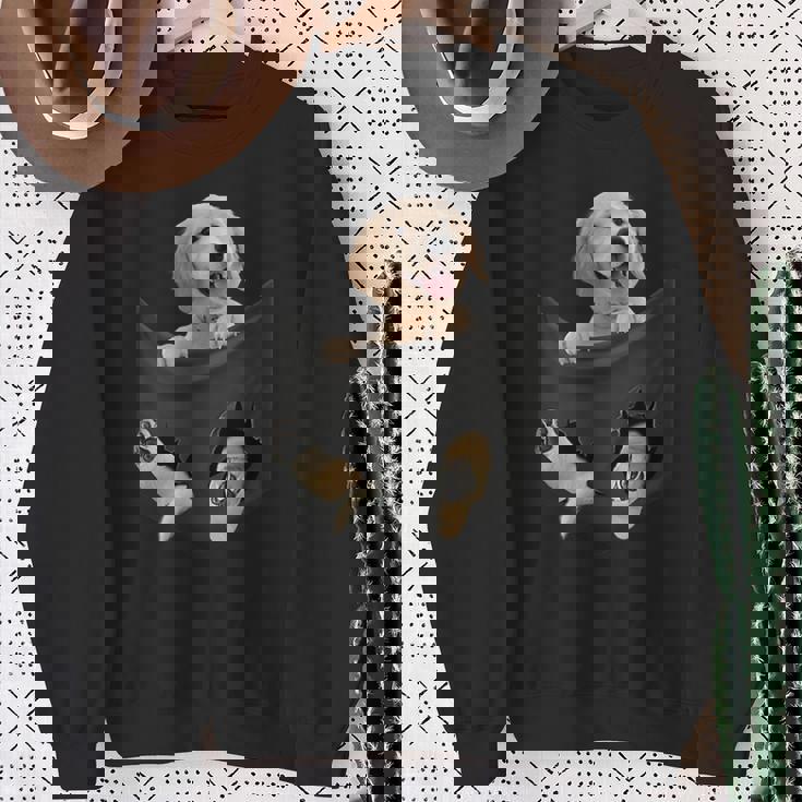 ポケットに入ったゴールデンレトリーバーの犬 ゴールデンパピー のぞき見 スウェットシャツ 年配の女性への贈り物