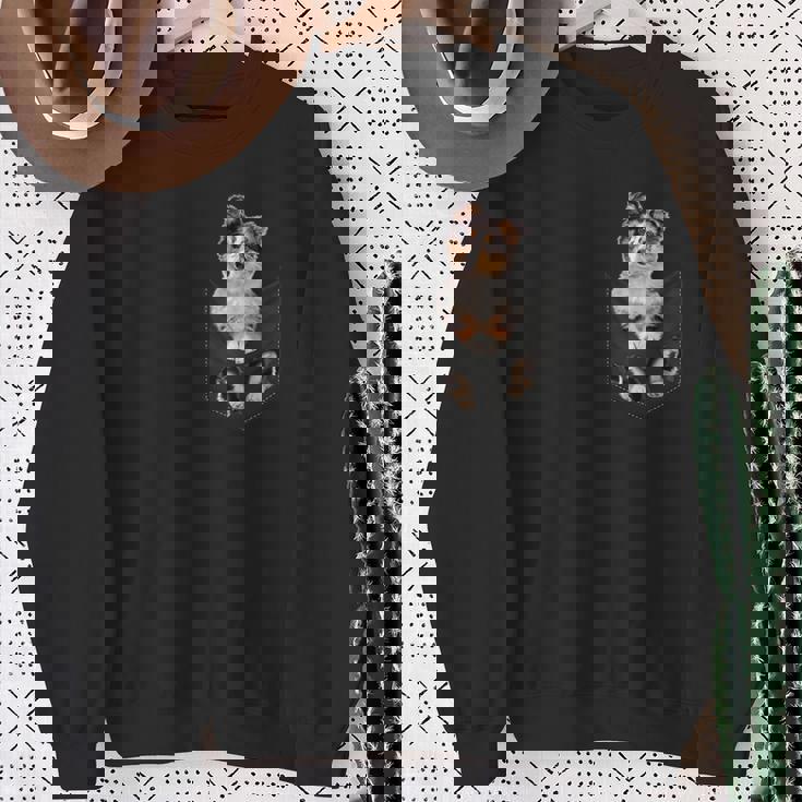 ポケットに入った面白いシェットランドシープドッグ シェルティー愛好家に スウェットシャツ 年配の女性への贈り物