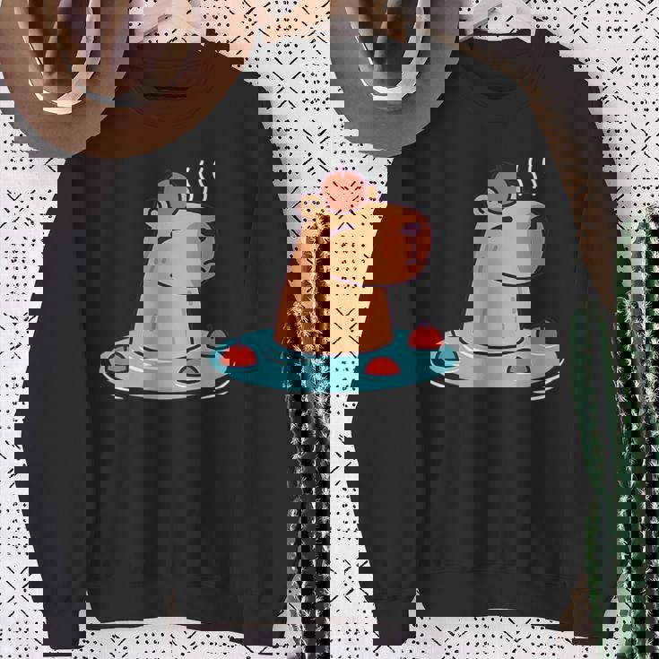 ポケットカピバラ 温泉に浸ける カピバラ スウェットシャツ 年配の女性への贈り物