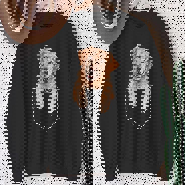 ポケットゴールデンレトリバー スウェットシャツ 年配の女性への贈り物