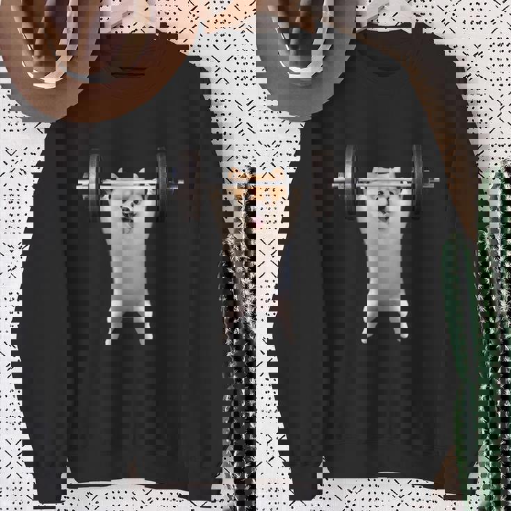 ポメラニアン イヌ 面白いtシャツ 犬 筋トレ 文字入り メンズ おもしろ 面白い 服 グッズ 文字tシャツ ネタ スウェットシャツ 年配の女性への贈り物