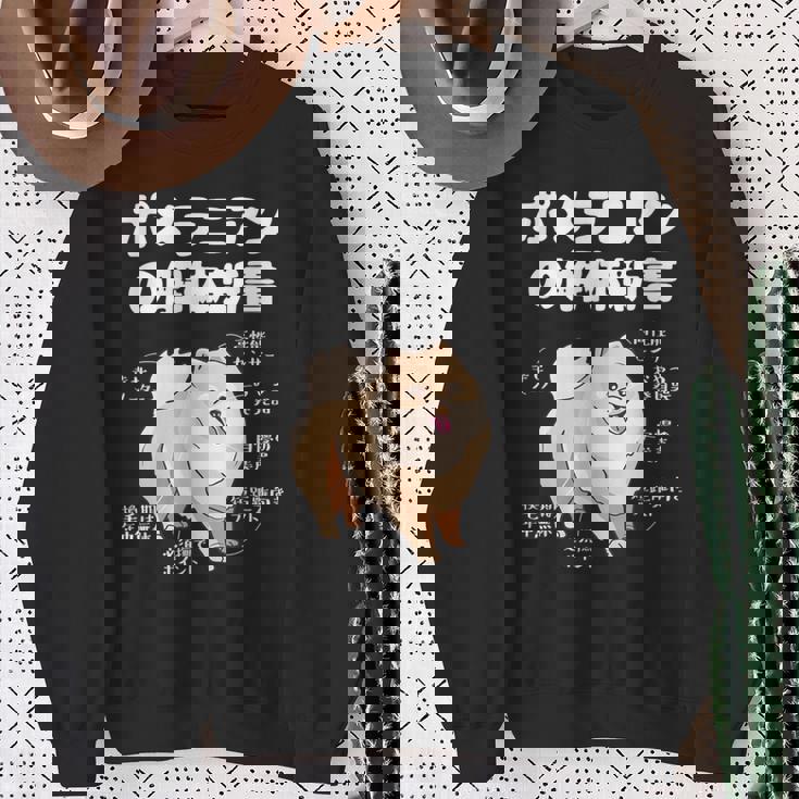 ポメラニアンの解体新書 スピッツ 犬の飼い主 ポメラニアンの飼い主 おもしろ 愛犬家 犬 ポメラニアン スウェットシャツ 年配の女性への贈り物