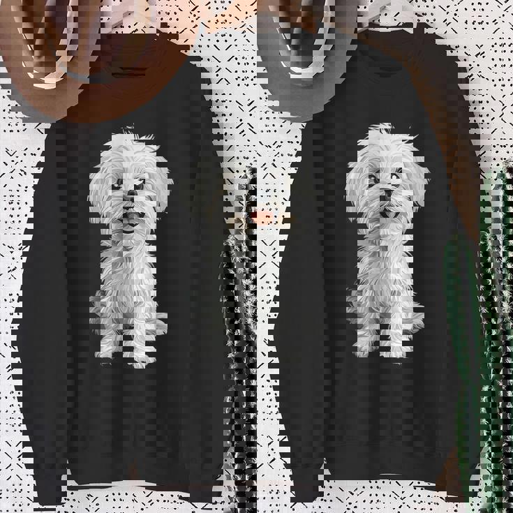 マルチーズ 犬 グラフィック ペット イラスト マルチーズ スウェットシャツ 年配の女性への贈り物