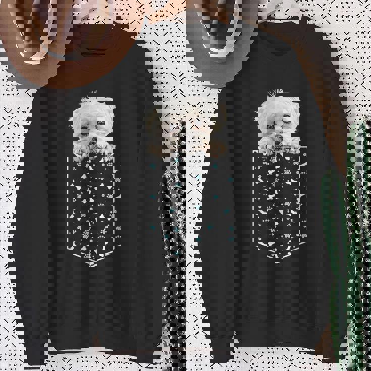 マルチーズ犬ポケット子犬の顔ペット愛好家 スウェットシャツ 年配の女性への贈り物