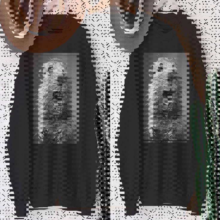 マーモットは生意気に笑う、面白いマーモット スウェットシャツ 年配の女性への贈り物