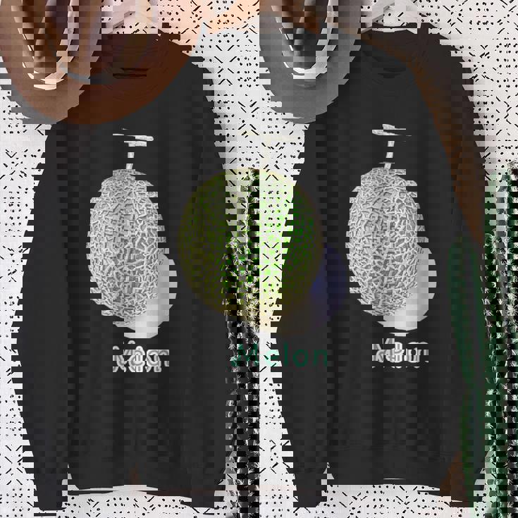 メロン Melon 『フルーツ ポップ』果物 リアル シンプル かわいい イラスト スウェットシャツ 年配の女性への贈り物