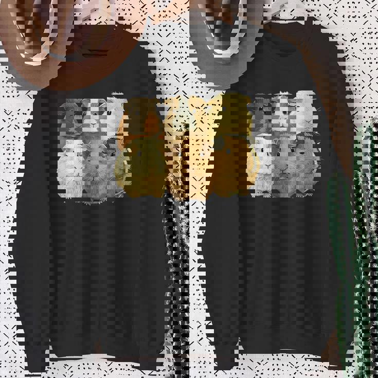 モルモット愛好家のためのモルモット。 スウェットシャツ 年配の女性への贈り物