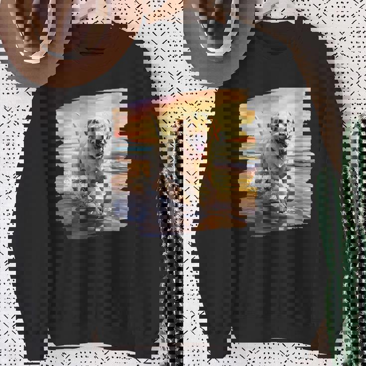 ラブラドールオンザビーチ、ラボ、犬、ラブラドール子犬 スウェットシャツ 年配の女性への贈り物