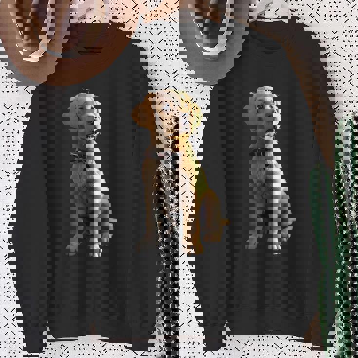 ラブラドール・レトリーバー 犬モチーフ ラブラドール かわいい ラブラドール スウェットシャツ 年配の女性への贈り物