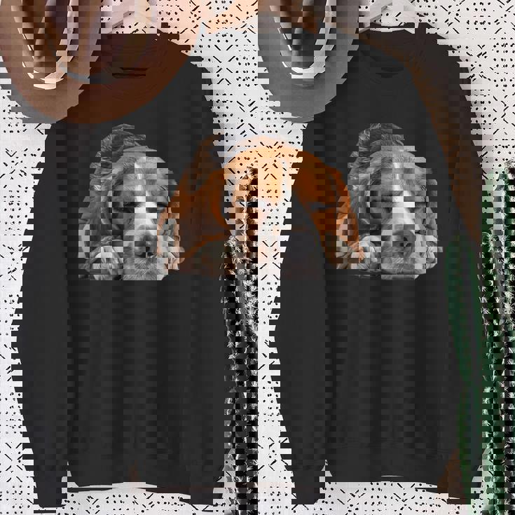 レイジービーグル スウェットシャツ 年配の女性への贈り物