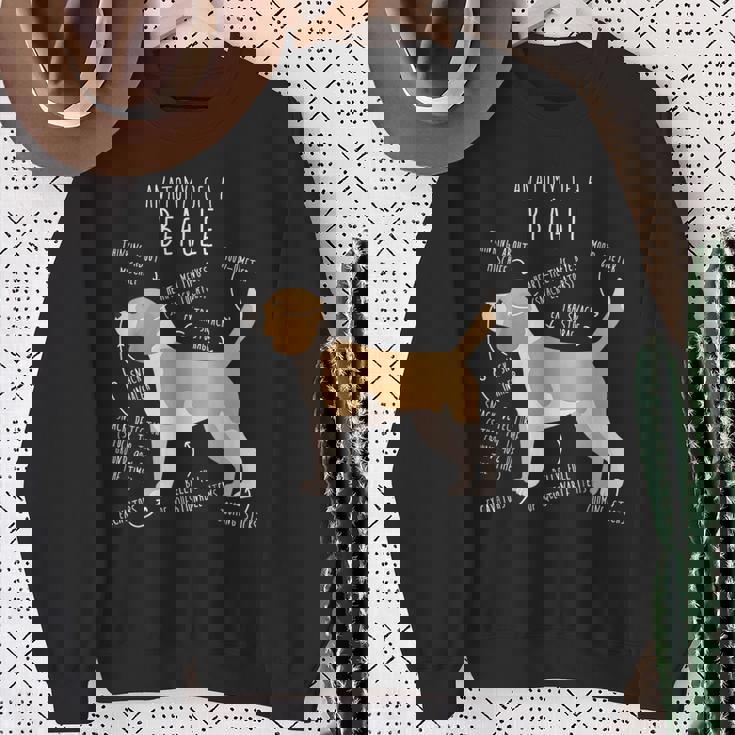 レモンビーグル犬の解剖学、面白い かわいい ペット 犬 ママ ドッグ パパ スウェットシャツ 年配の女性への贈り物