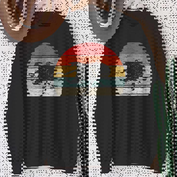 ヴィンテージ レトロ カブトムシ 昆虫 スウェットシャツ 年配の女性への贈り物