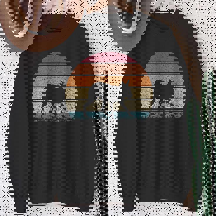 ヴィンテージ レトロ サンセット パタゴニア マーラ 恋人 アンティーク調 スウェットシャツ 年配の女性への贈り物