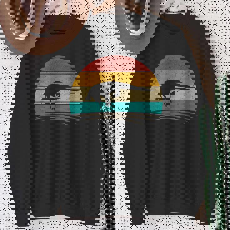 ヴィンテージコモドドラゴン レトロアンティーク調コモドドラゴン スウェットシャツ 年配の女性への贈り物