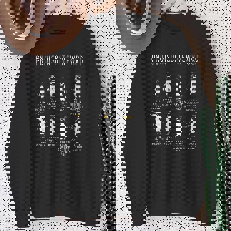 世界のペンギン8選おかしな南極ペンギン スウェットシャツ 年配の女性への贈り物