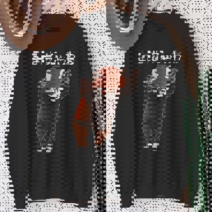 五十歩ひゃっほう レッサーパンダ ネタ ことわざ ことわざのもじり ジョーク ギャグ ダジャミ おもしろ メンズ 半袖 スウェットシャツ 年配の女性への贈り物