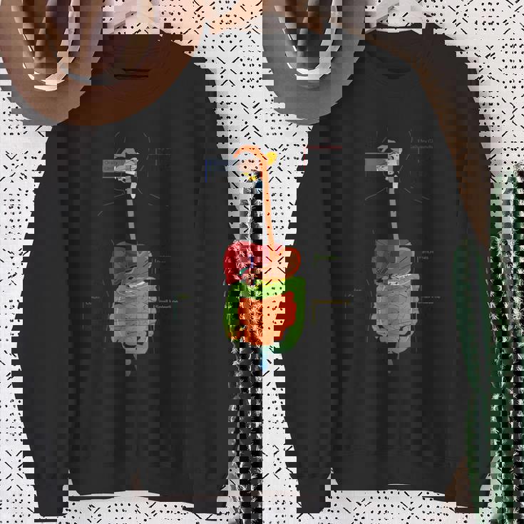 人体消化器系消化管の解剖学 スウェットシャツ 年配の女性への贈り物