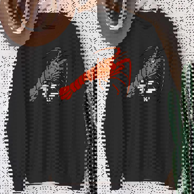 伊勢エビ エビ カニ ウニ 海洋生物 矛盾 おもしろ イラスト かわいい 面白い ネタ 画像 スウェットシャツ 年配の女性への贈り物