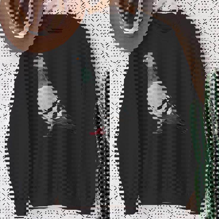 伝書鳩 鳥 動物 図 バードウォッチング 贈り物 鳥類学者 スウェットシャツ 年配の女性への贈り物