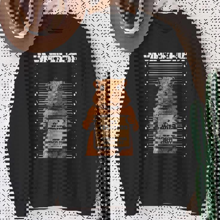 全国指名手配 重犯罪93件ハムスター スウェットシャツ 年配の女性への贈り物